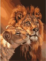 Schilderen op nummer Volwassenen - Volwassen leeuw met welp - 40 x 50 centimeter