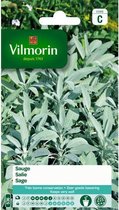 Salie - Salvia officinalis