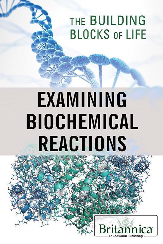 The Building Blocks of Life - Examining Biochemical Reaction ... - cover