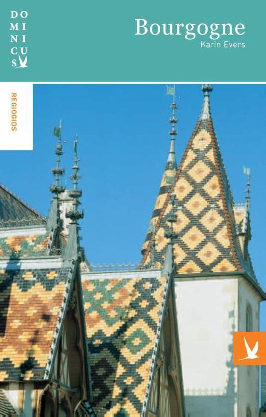 Cover van het boek 'Dominicus Bourgogne'
