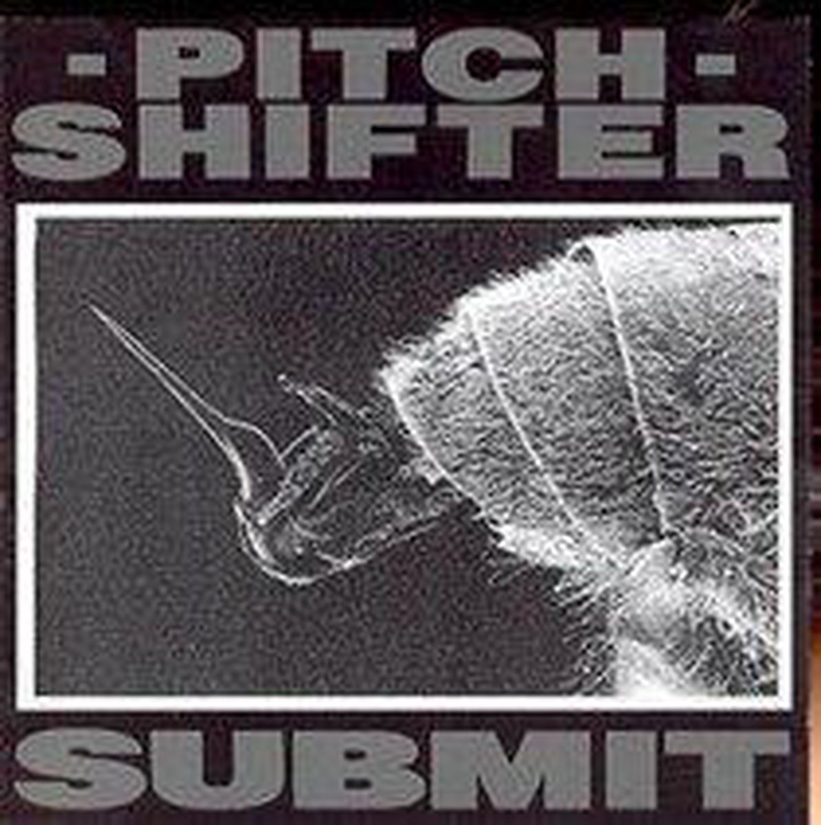 Submit