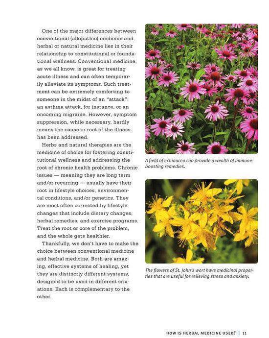 Beginners Guide To Medicinal Herbs