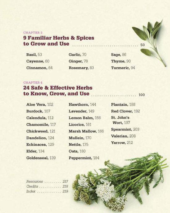 Beginners Guide To Medicinal Herbs