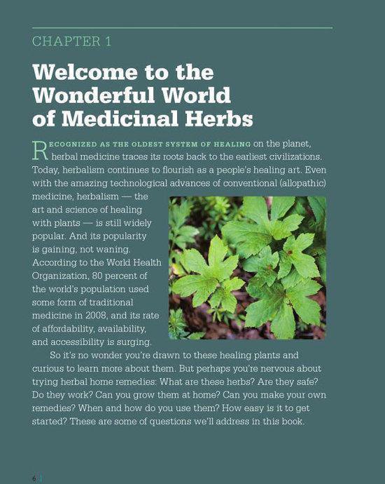 Beginners Guide To Medicinal Herbs