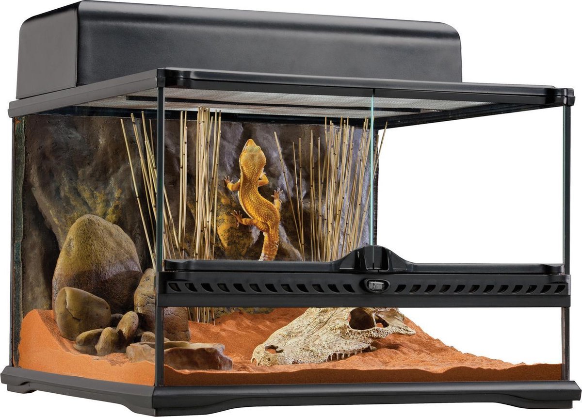 Medium Terrarium 45x45x30 cm