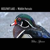 Reelfoot Lake Wildlife Portraits