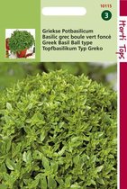 Hortitops Zaden - Pot-Basilicum Bascuro - Donkergroene