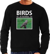 Dieren foto sweater Velduil - zwart - heren - birds of the world - cadeau trui uilen liefhebber M