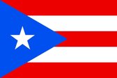Vlag Puerto Rico 30x45cm