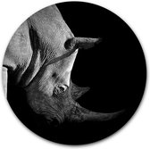 Wandcirkel Neushoorn op hout - WallCatcher | Multiplex 100 cm rond | Ronde schilderijen | Houten muurcirkel Rhino