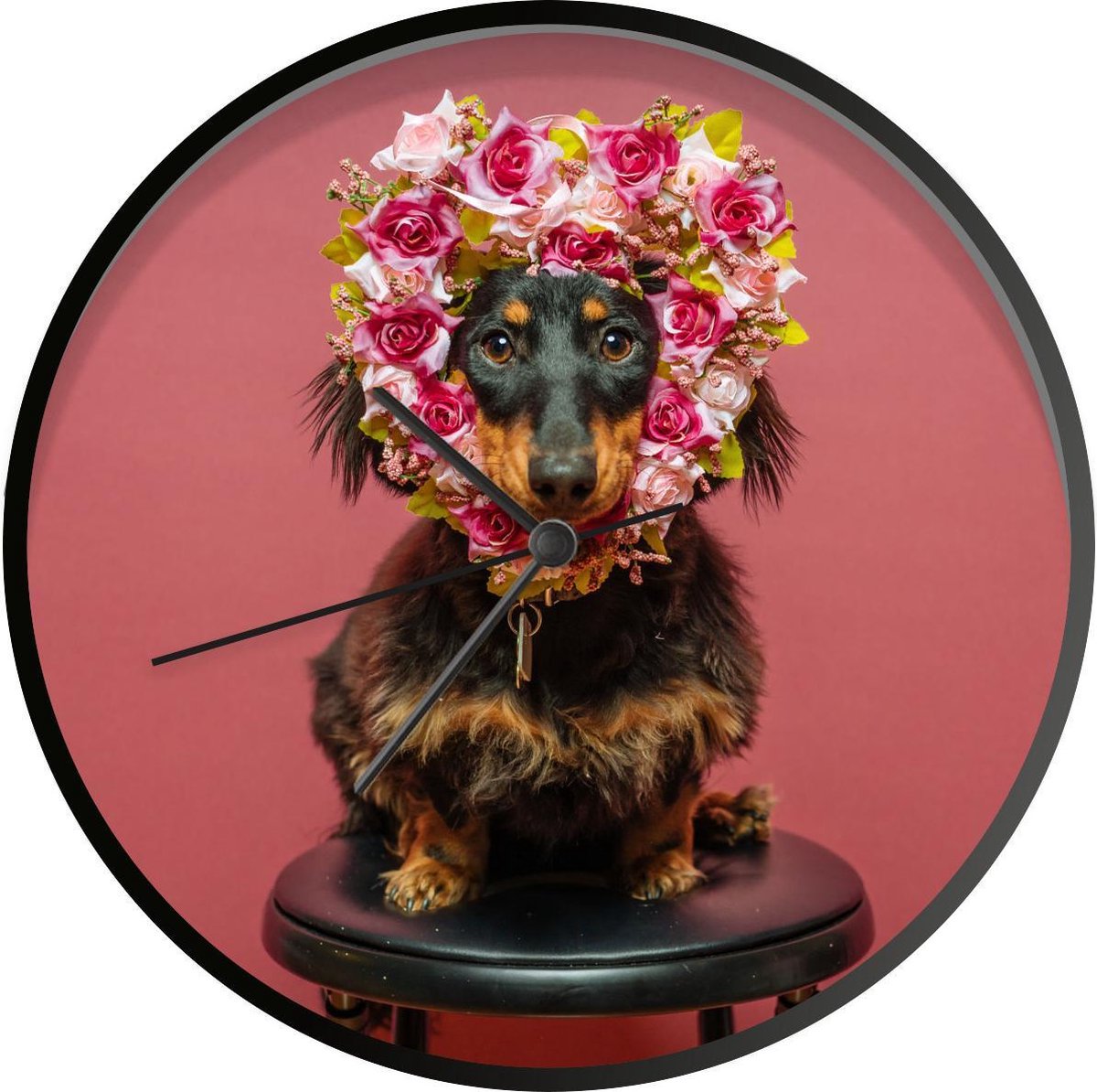 fabriek eindeloos Recensent Klok Honden Met Bloemen Ø 30 cm - Hond met een bloemenkrans in de vorm van  een hart -... | bol.com