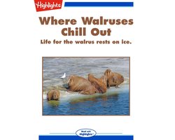 Where Walruses Chill Out