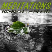 Meditations – Beethoven No. 3 in the Woods