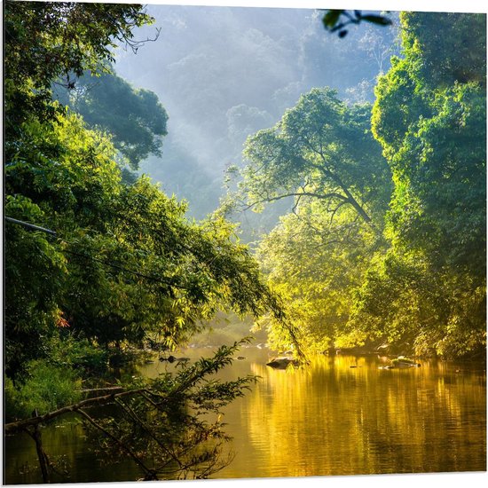 Dibond - Mooi Landschap met Meer - 80x80cm Foto op Aluminium (Met Ophangsysteem)