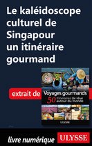Le kaléidoscope culturel de Singapour - Un itinéraire gourmand