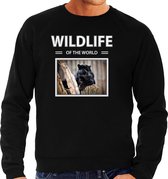 Dieren foto sweater Zwarte panter - zwart - heren - wildlife of the world - cadeau trui Panters liefhebber L