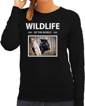 Dieren foto sweater Zwarte panter - zwart - dames - wildlife of the world - cadeau trui Panters liefhebber XS