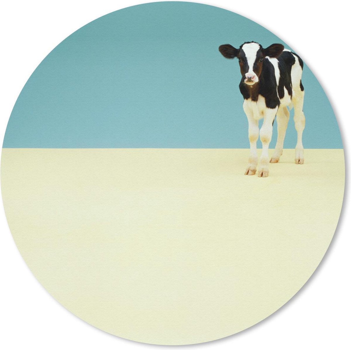 Muismat Friese koe - Schattig Friese koe kalfje in de studio Muismat rond - 30x30 cm - Muismat met foto