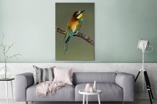 Guêpier d'Europe (Merops apiaster) se trouve sur une branche Sardaigne Italie Toile 80x120 cm - Tirage photo sur toile (Décoration murale salon / chambre)