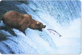 Muismat Roofdieren - Grizzly beer aan het vissen muismat rubber - 27x18 cm - Muismat met foto