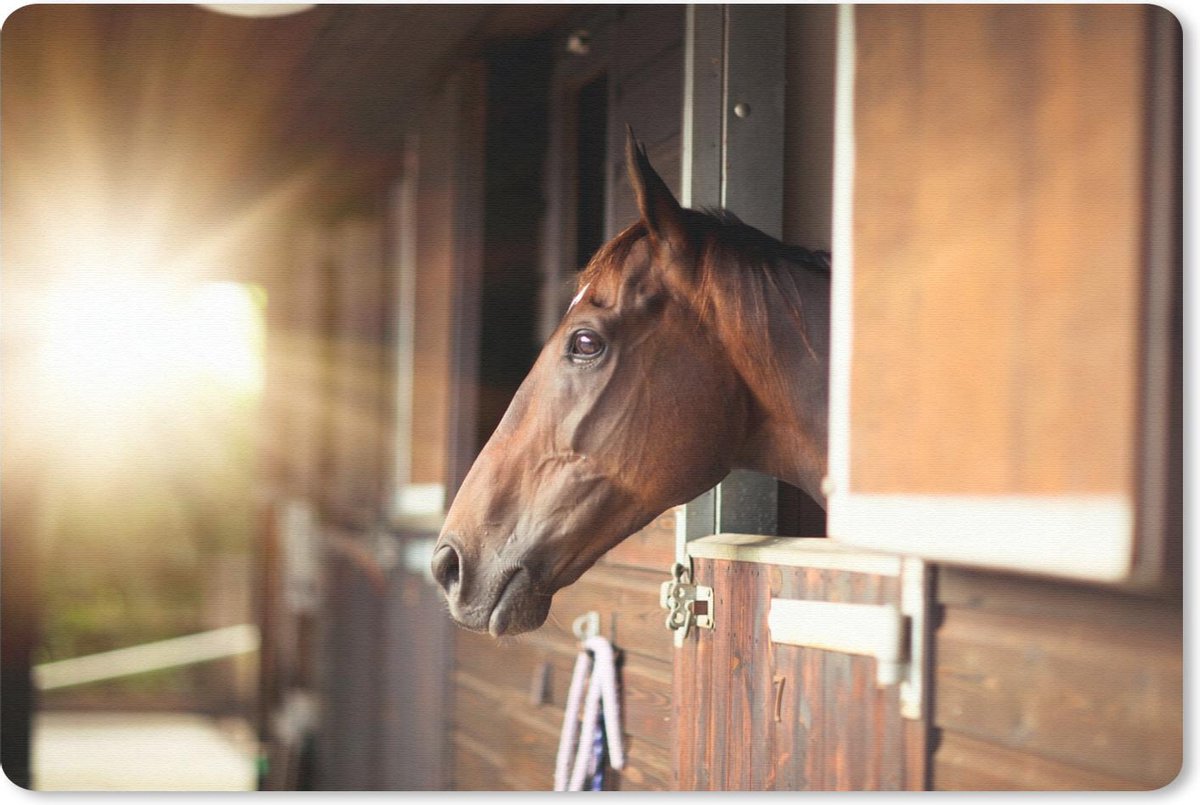 Muismat Paard - Een paard steekt zijn kop uit de stal bij een zonsopkomst muismat rubber - 27x18 cm - Muismat met foto