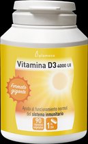 Plameca Vitamina D3 4000ui 90 Vcaps