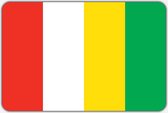 Vlag Markelo - 200 x 300 cm - Polyester