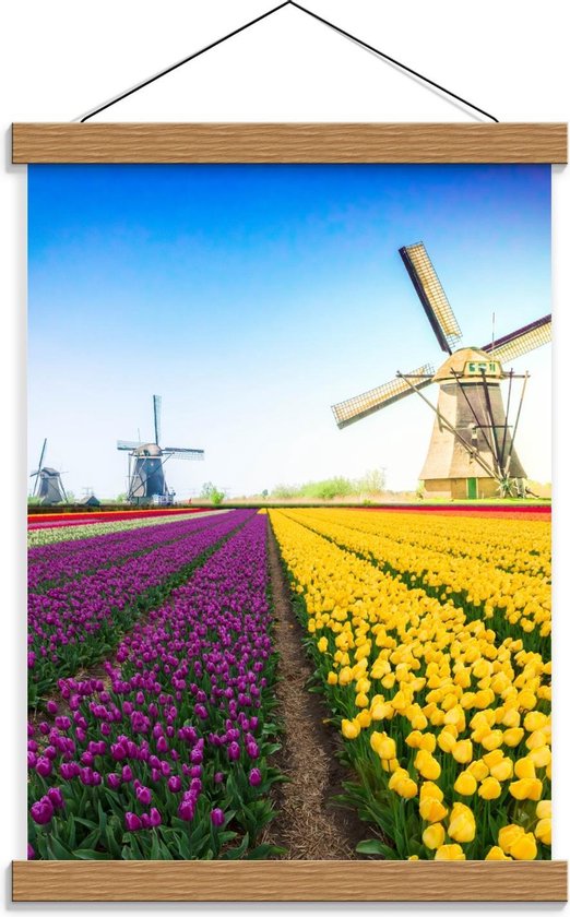 Schoolplaat – Molens in Felkleurig Tulpenveld - 30x40cm Foto op Textielposter (Wanddecoratie op Schoolplaat)