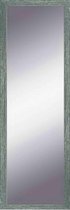 Zilveren spiegel 49x139 cm – Ylvi – Pas Spiegel – Zilver Spiegel Groot – lange spiegel – Perfecthomeshop