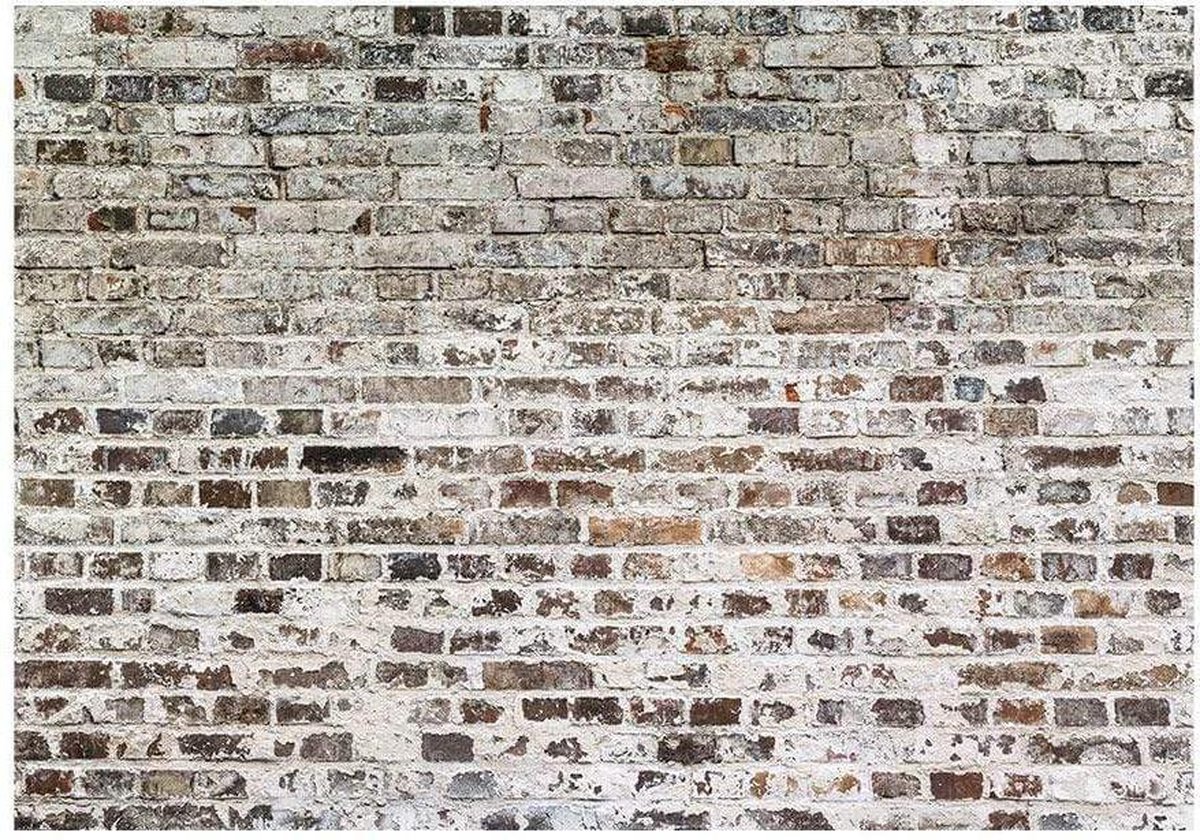 Fotobehang - Old Walls 400x280cm - Vliesbehang