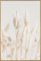 JUNIQE - Poster met kunststof lijst Dried Flowers Lagurus 2 -40x60
