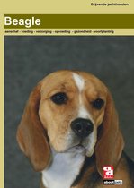 Over Dieren - Beagle