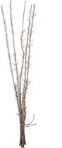 J-Line Bundel 5Stuks Takken Glitter Champagne 98Cm