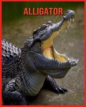 Alligator