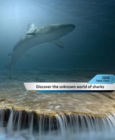 Discover the unknown world of sharks!