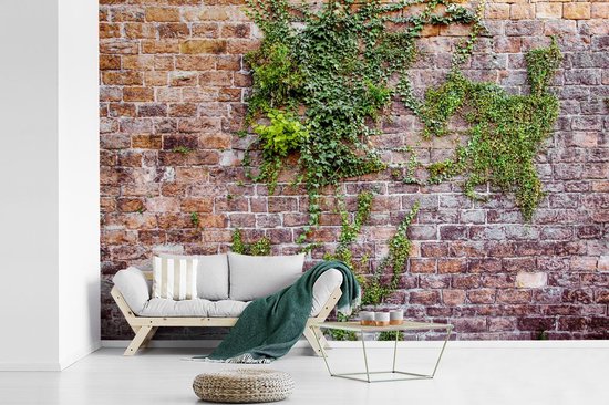 schetsen Absoluut verlies Behang - Fotobehang Klimplanten op een oude muur met bakstenen - Breedte  360 cm x... | bol.com