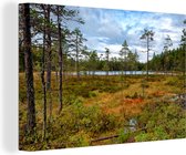Canvas Schilderij Herfst-gekleurde bossen in het Nationaal park Skuleskogen in Zweden - 60x40 cm - Wanddecoratie