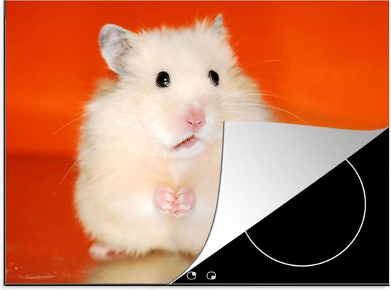 Inductie beschermer Inductie Mat - Witte hamster op oranje achtergrond - 75x52 cm -... | bol.com