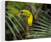 Gros plan d'un toucan mangeant 60x40 cm - Tirage photo sur toile (Décoration murale salon / chambre)