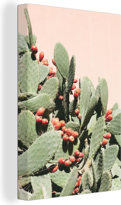 Foto: Canvas schilderij schijfcactus cactusvijg tegen een roze muur 40x60 cm wanddecoratie