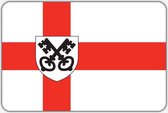 Vlag Havelte - 150 x 225 cm - Polyester