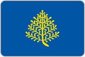 Vlag Rijssen - 150 x 225 cm - Polyester