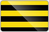 Vlag gemeente Schiedam - 70 x 100 cm - Polyester