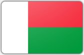 Vlag Madagaskar - 100 x 150 cm - Polyester