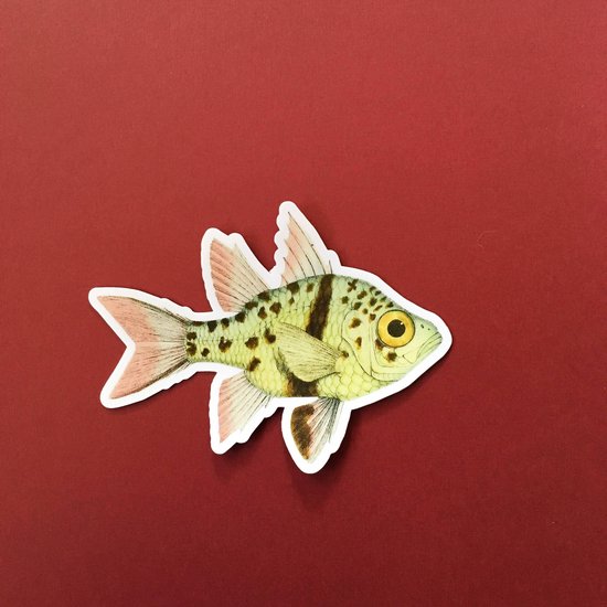 Gevlekte vis sticker [4 stickers - schrijf in] | bol.com