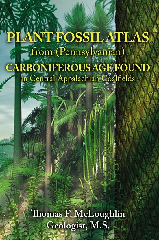 PLANT FOSSIL ATLAS from (Pennsylvanian) CARBONIFEROUS AGE FOUND in