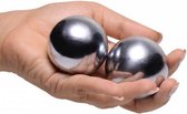 Titanica Extreme Stalen Vagina Balletjes - Zilver - Sextoys - Vagina Toys - Toys voor dames - Geisha Balls