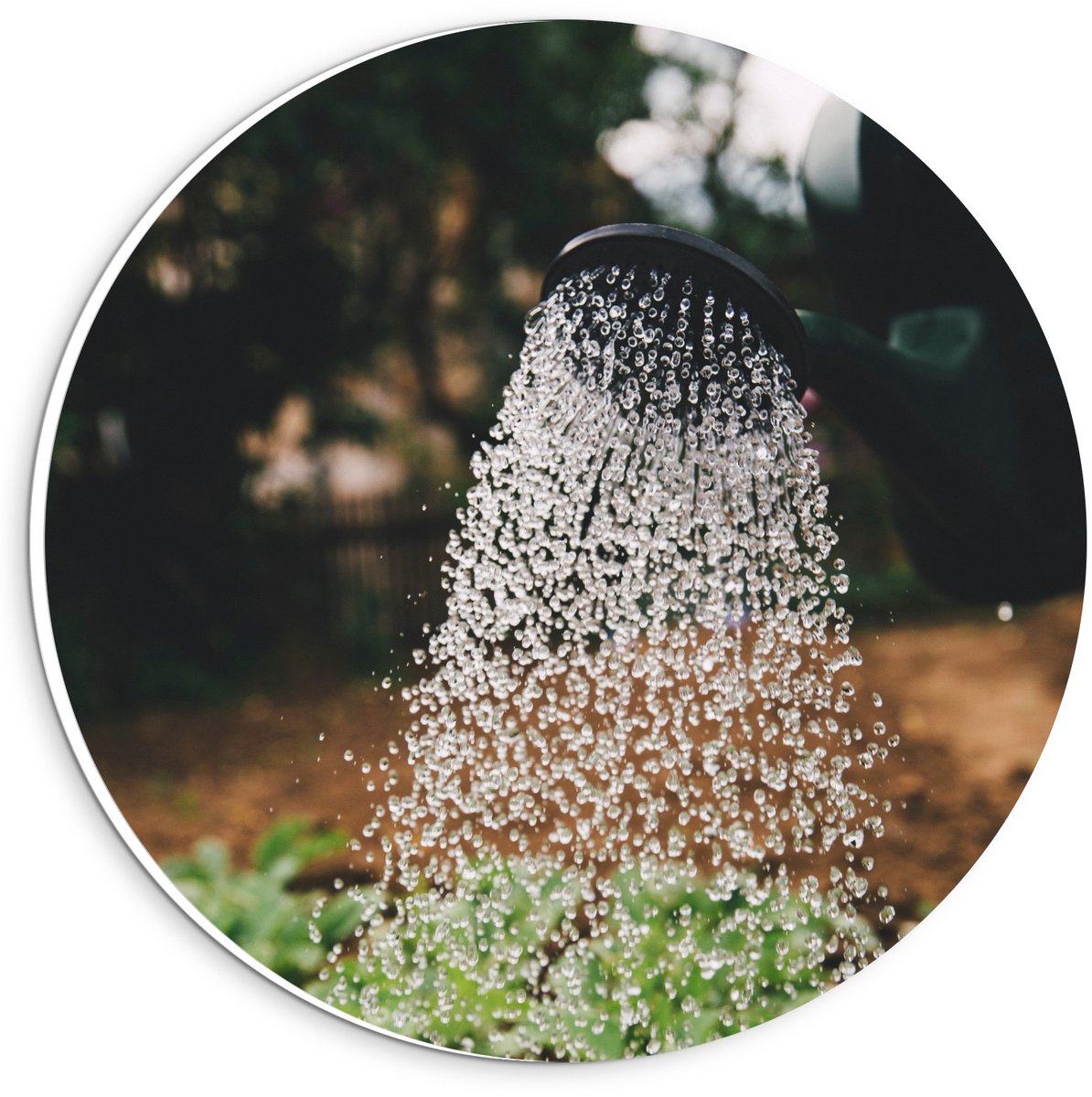 KuijsFotoprint - Schilderij - Regendouche In De Natuur - Zwart, Wit, Groen En Bruin - 20 X