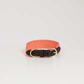 Kentucky Dogwear Hondenhalsband Jacquard - Neon Oranje M - 50cm