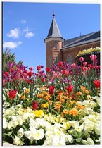 Dibond - Mooi Veld met Gekleurde Bloemen met een Mooi Kasteel op de Achtergrond - 40x60cm Foto op Aluminium (Met Ophangsysteem)